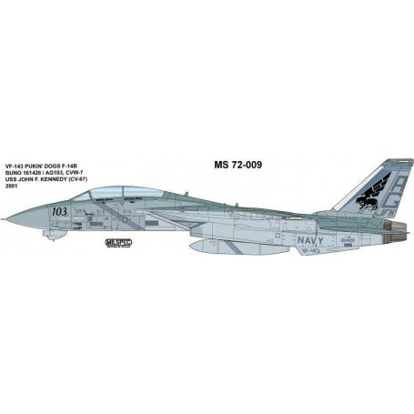  Décal Grumman F-14B Tomcat VF-143 'Pukin' Chiens 2001