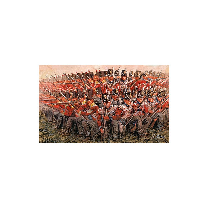 Guerres napoléoniennes : Infanterie britannique 1815
