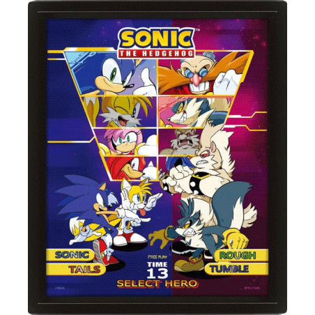  Sonic The Hedgehog encadré poster effet 3D Select Your Fighter 26 x 20 cm