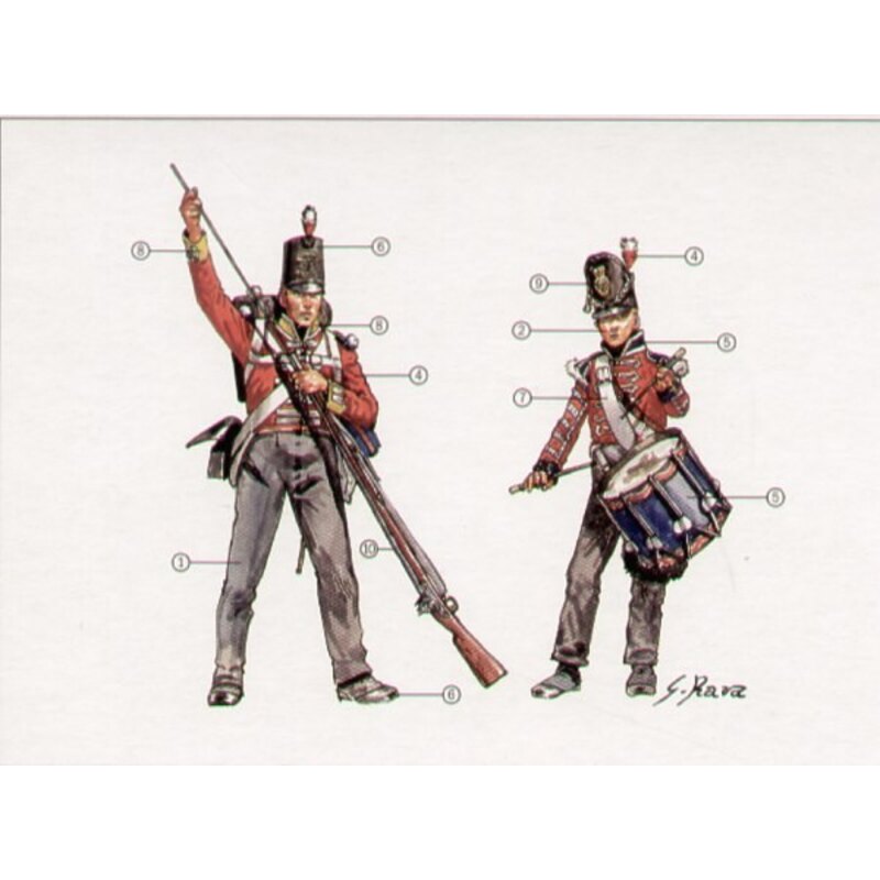 IT6095 Guerres napoléoniennes : Infanterie britannique 1815